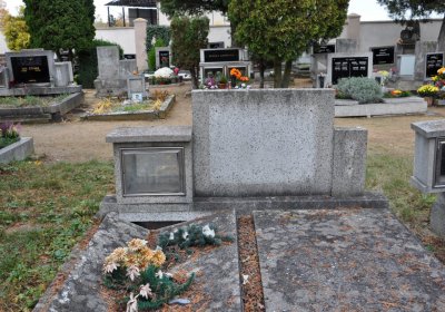 Březno u Chomutova, Omnium, 2020