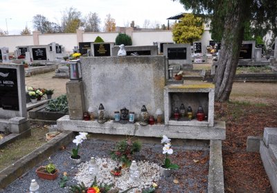 Březno u Chomutova, Omnium, 2020