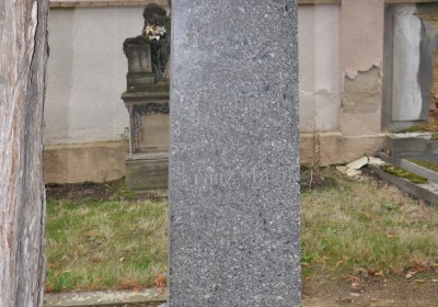 Březno u Chomutova, Omnium, 2020