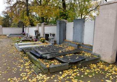 Březno u Chomutova, Omnium, 2020