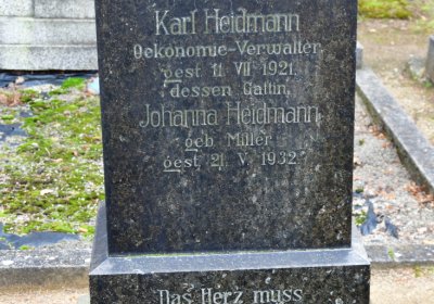 Březno u Chomutova, Omnium, 2020