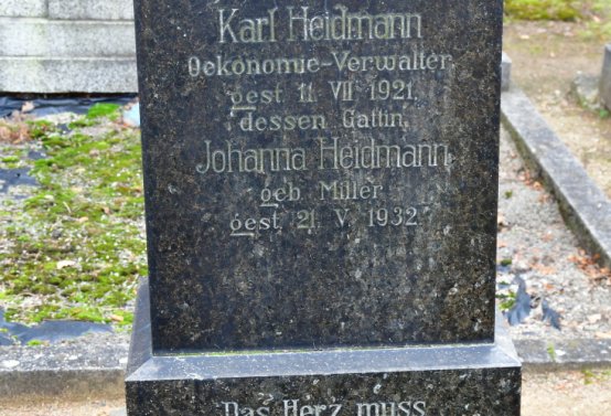 Březno u Chomutova, Omnium, 2020