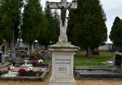 Březno u Chomutova, Omnium, 2020