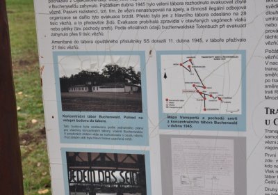 Březno u Chomutova, Omnium, 2020