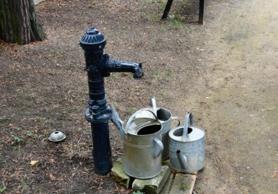 Březno u Chomutova, Omnium, 2020