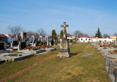 Sedláček Hugo, 2010