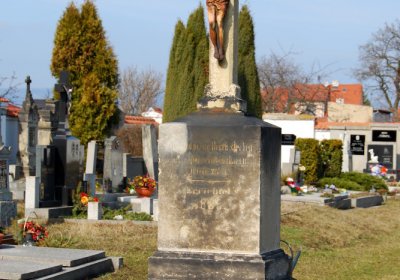 Sedláček Hugo, 2010