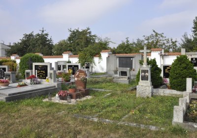 Sedláček Hugo, 2016