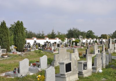 Sedláček Hugo, 2016