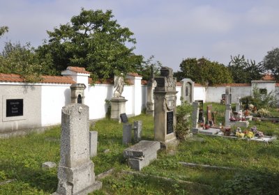 Sedláček Hugo, 2016