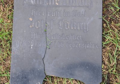 Droužkovice, Omnium, 2020