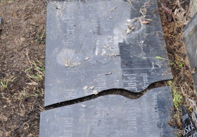 Droužkovice, Omnium, 2020