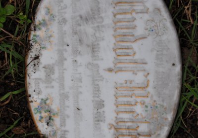 Droužkovice, Omnium, 2020