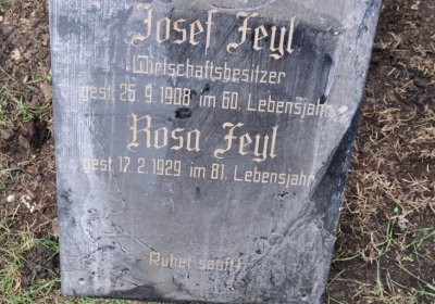 Droužkovice, Omnium, 2020