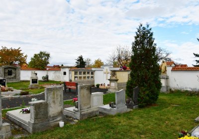 Droužkovice, Omnium, 2020