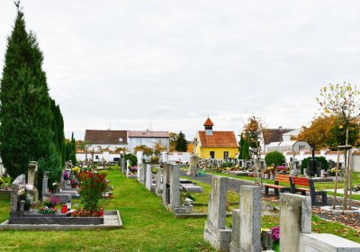 Droužkovice, Omnium, 2020