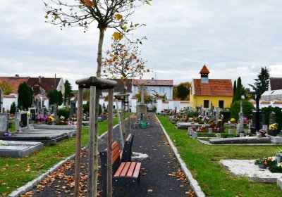 Droužkovice, Omnium, 2020