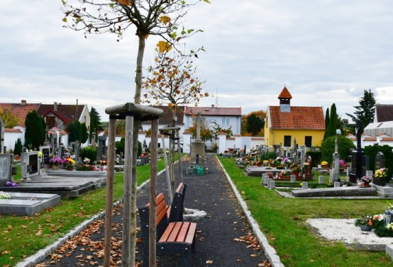 Droužkovice, Omnium, 2020