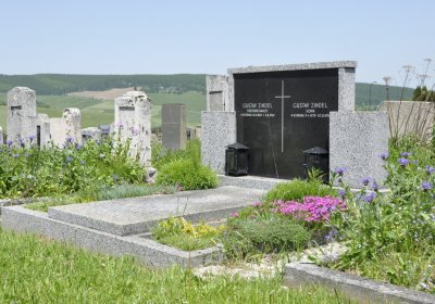 Sedláček Hugo, 2013