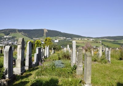 Sedláček Hugo, 2016