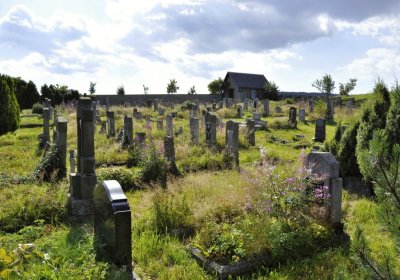 Sedláček Hugo, 2016