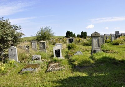 Sedláček Hugo, 2016