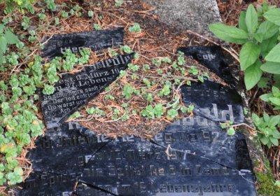 Loučná pod Klínovcem, Omnium, 2020