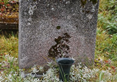 Loučná pod Klínovcem, Omnium, 2020