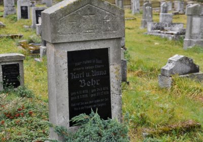 Loučná pod Klínovcem, Omnium, 2020