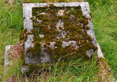 Loučná pod Klínovcem, Omnium, 2020