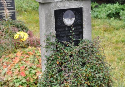 Loučná pod Klínovcem, Omnium, 2020