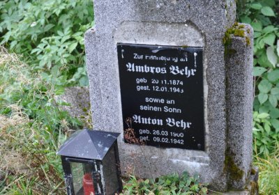 Loučná pod Klínovcem, Omnium, 2020