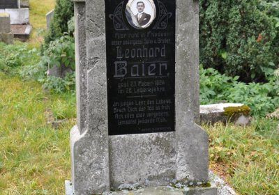 Loučná pod Klínovcem, Omnium, 2020