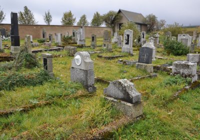 Loučná pod Klínovcem, Omnium, 2020