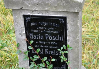 Loučná pod Klínovcem, Omnium, 2020