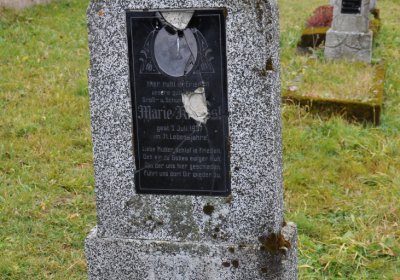 Loučná pod Klínovcem, Omnium, 2020