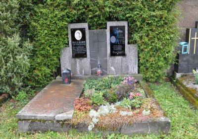 Loučná pod Klínovcem, Omnium, 2020