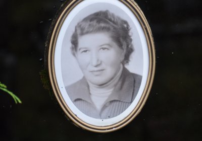 Loučná pod Klínovcem, Omnium, 2020