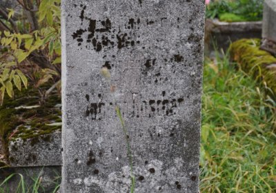 Loučná pod Klínovcem, Omnium, 2020