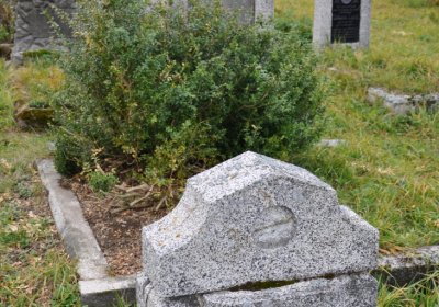 Loučná pod Klínovcem, Omnium, 2020