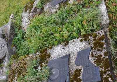 Loučná pod Klínovcem, Omnium, 2020