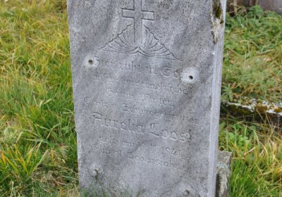 Loučná pod Klínovcem, Omnium, 2020