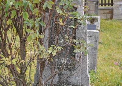 Loučná pod Klínovcem, Omnium, 2020