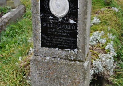 Loučná pod Klínovcem, Omnium, 2020