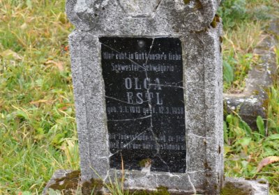 Loučná pod Klínovcem, Omnium, 2020