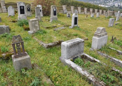 Loučná pod Klínovcem, Omnium, 2020