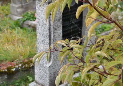 Loučná pod Klínovcem, Omnium, 2020