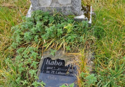 Loučná pod Klínovcem, Omnium, 2020