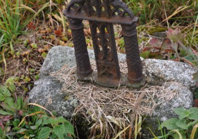 Loučná pod Klínovcem, Omnium, 2020