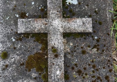 Loučná pod Klínovcem, Omnium, 2020